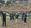 Students have a chance to pick their fresh fruits in a kiwi farm