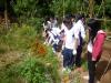 Students are helping to remove the grass.