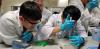 Our teachers were loading the ready DNA samples into the walls of the agarose gel for Gel Electrophoresis under the supervision of the Assistant Professor from the OUHK.
