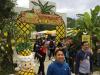 The participants had fun in the Kam Sheung Road Organic Farm.