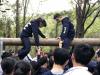 Students are trying to pull their friends up to sit on the log.