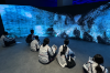 Students visited the Hong Kong Museum of Arts and experienced artworks in various forms.