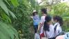 Different plants are introduced ex-Lady Ho Tung Welfare Centre Eco-learn Institute.