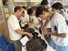 Students are enjoying the Reaction Light Challenge.