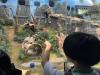 Students observe the giant panda.